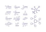 分子式 分子结构 DNA