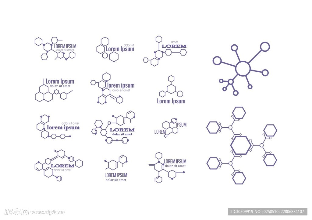 分子式 分子结构 DNA