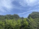 青山绿树间的蓝天美景