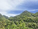 青山绿野间的秀丽风光
