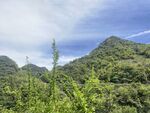 青山绿野间的自然美景