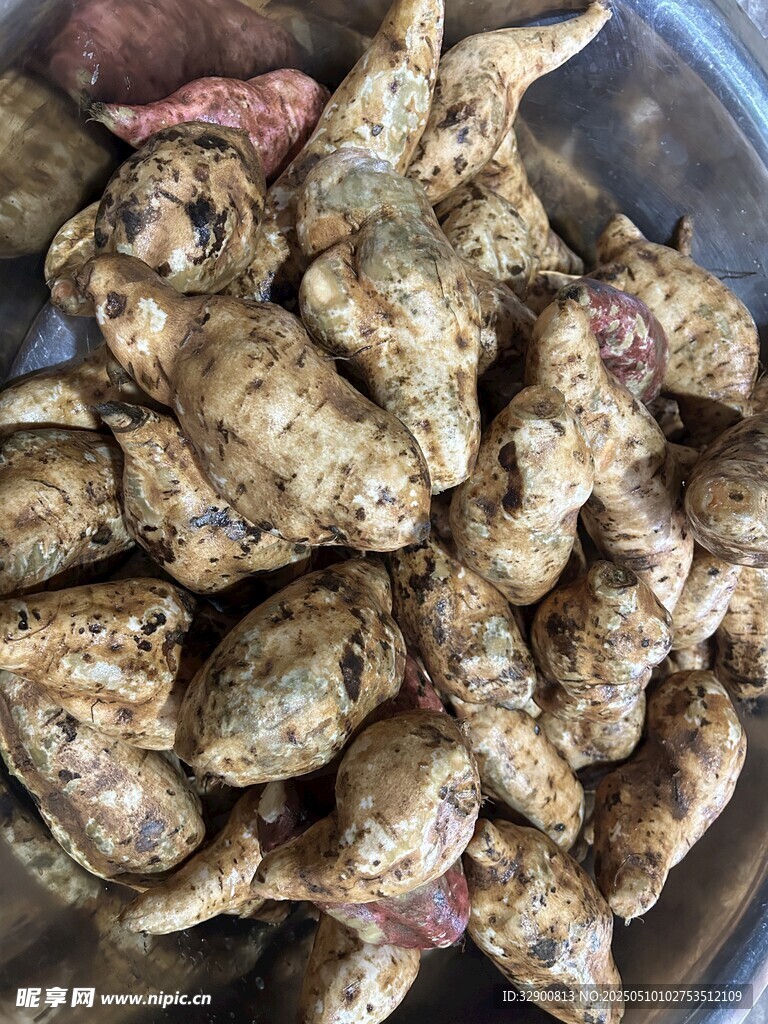 红薯