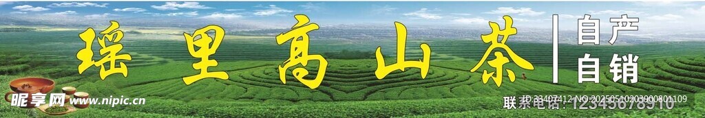 高山茶