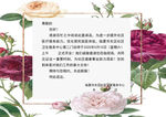 花卉环绕的文字装饰画面
