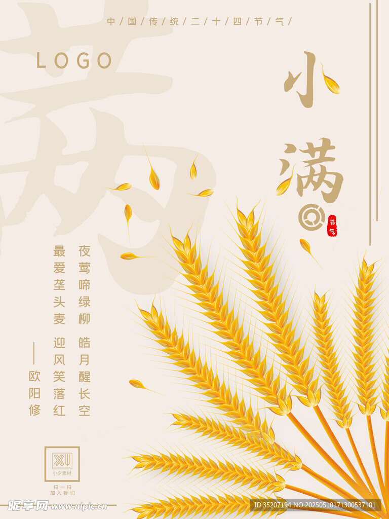 小满时节麦穗金黄