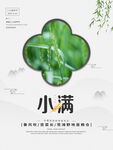 小满节气海报