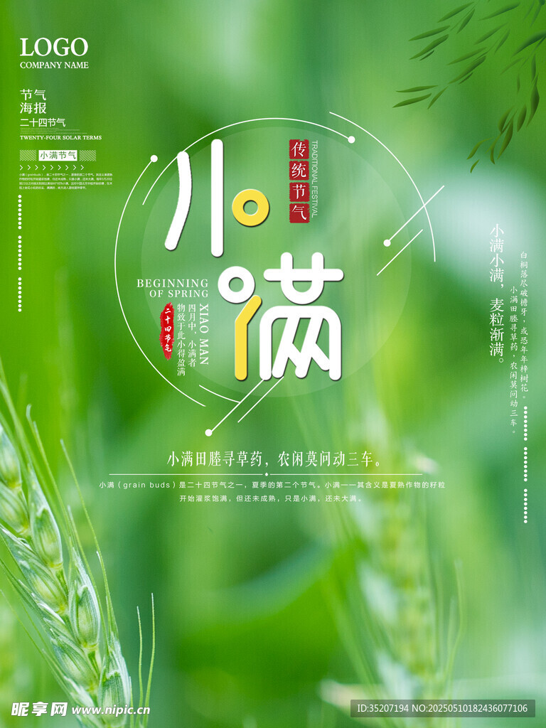 小满时节麦穗初长成