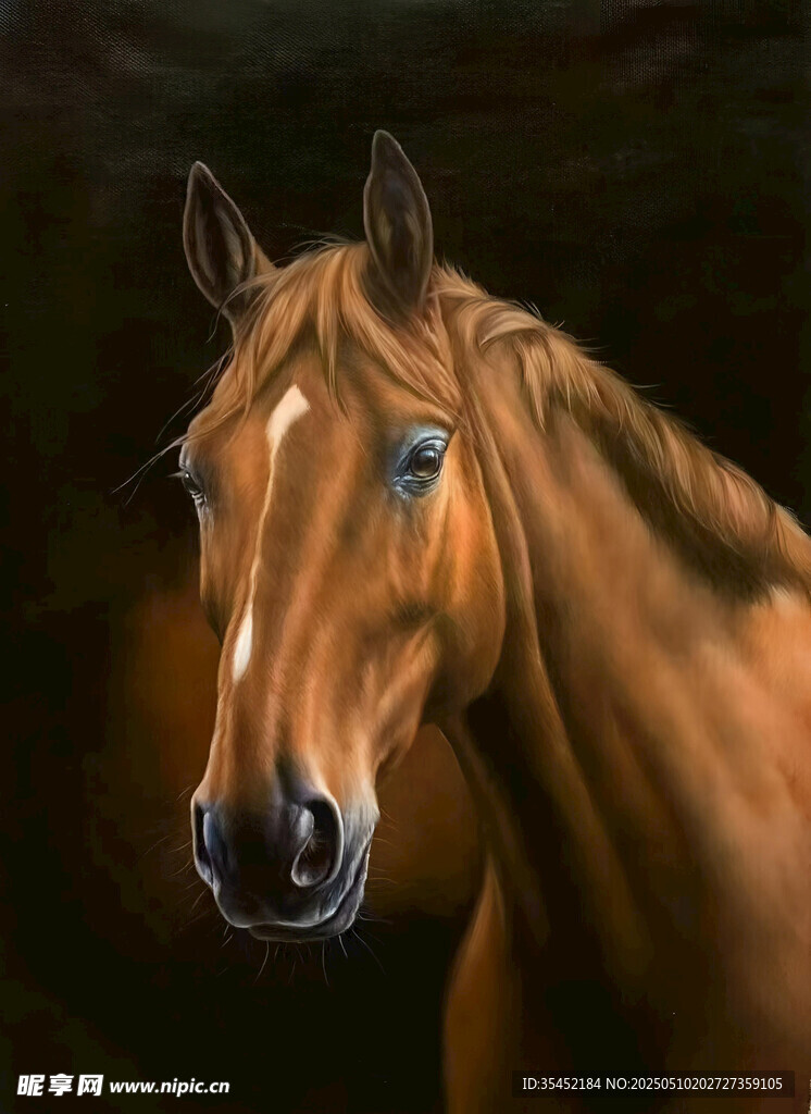 马头画