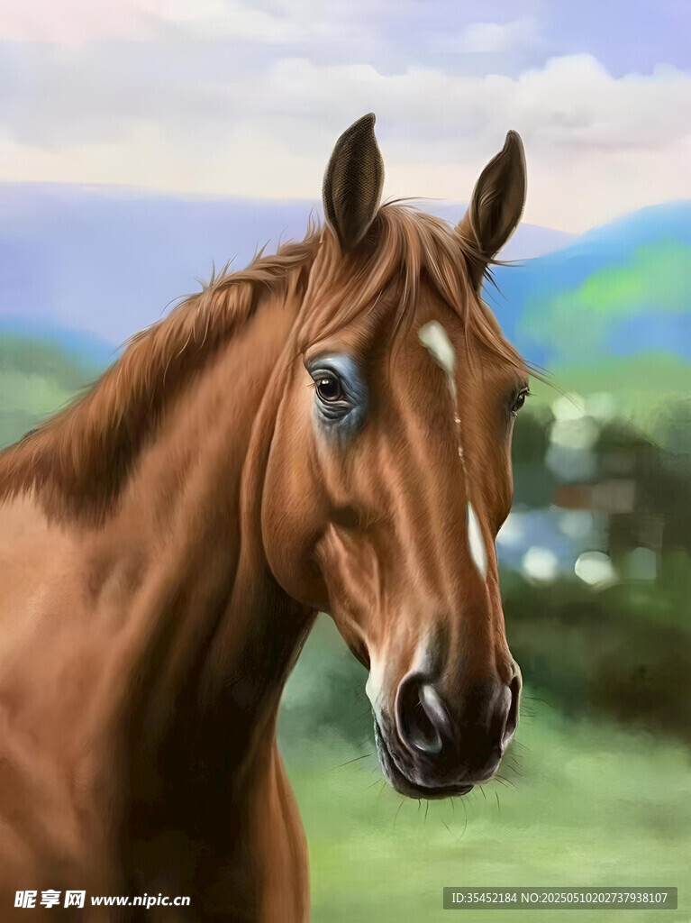 马头画