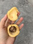 手捧剥开的美味水蒲桃