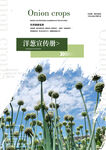  洋葱农业宣传册