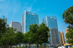 城市高楼与绿树景观