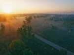 晨曦中林间公路的静谧美景