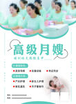 高级月嫂服务宣传海报