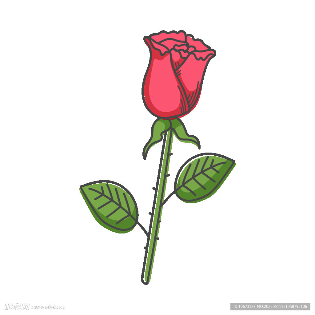手绘红玫瑰插画