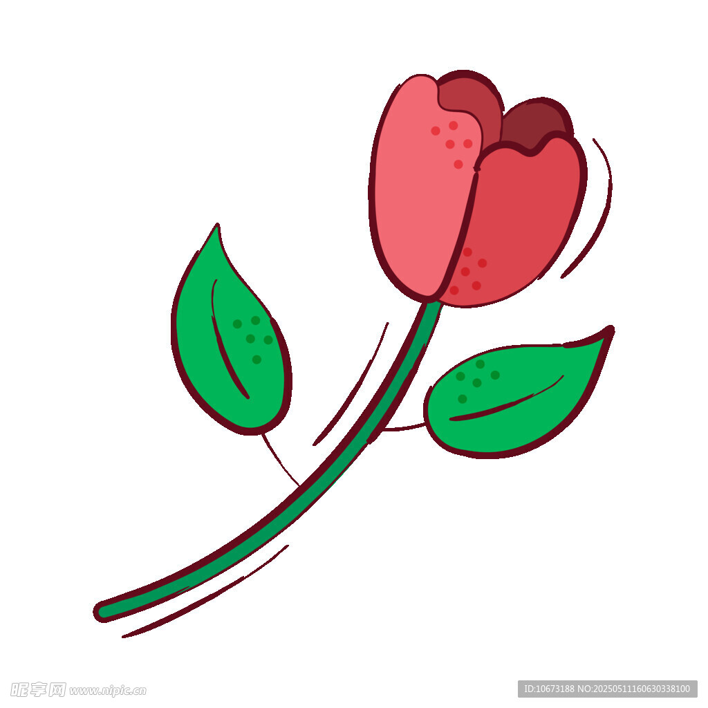 手绘红色郁金香花朵插画
