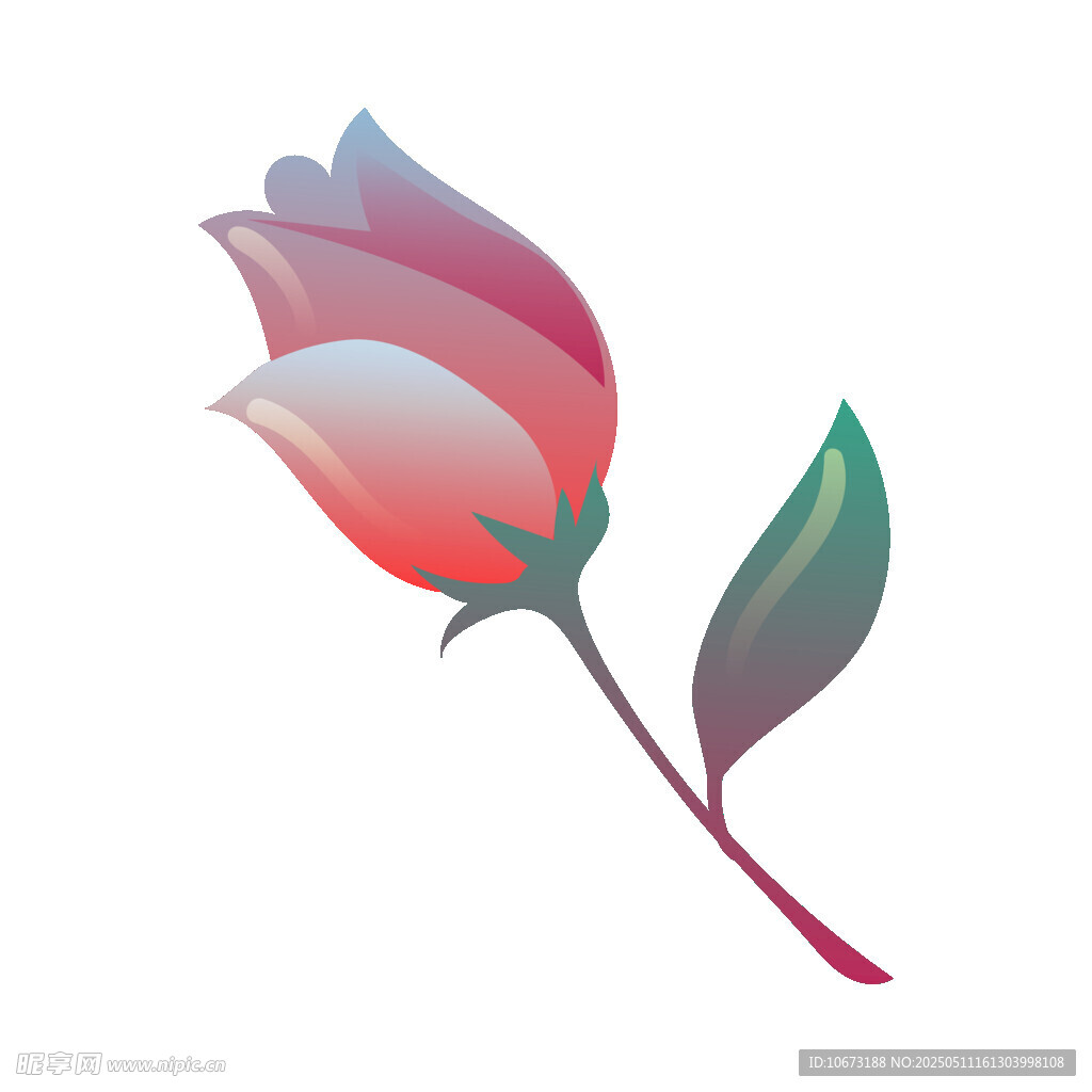 手绘渐变色彩玫瑰花