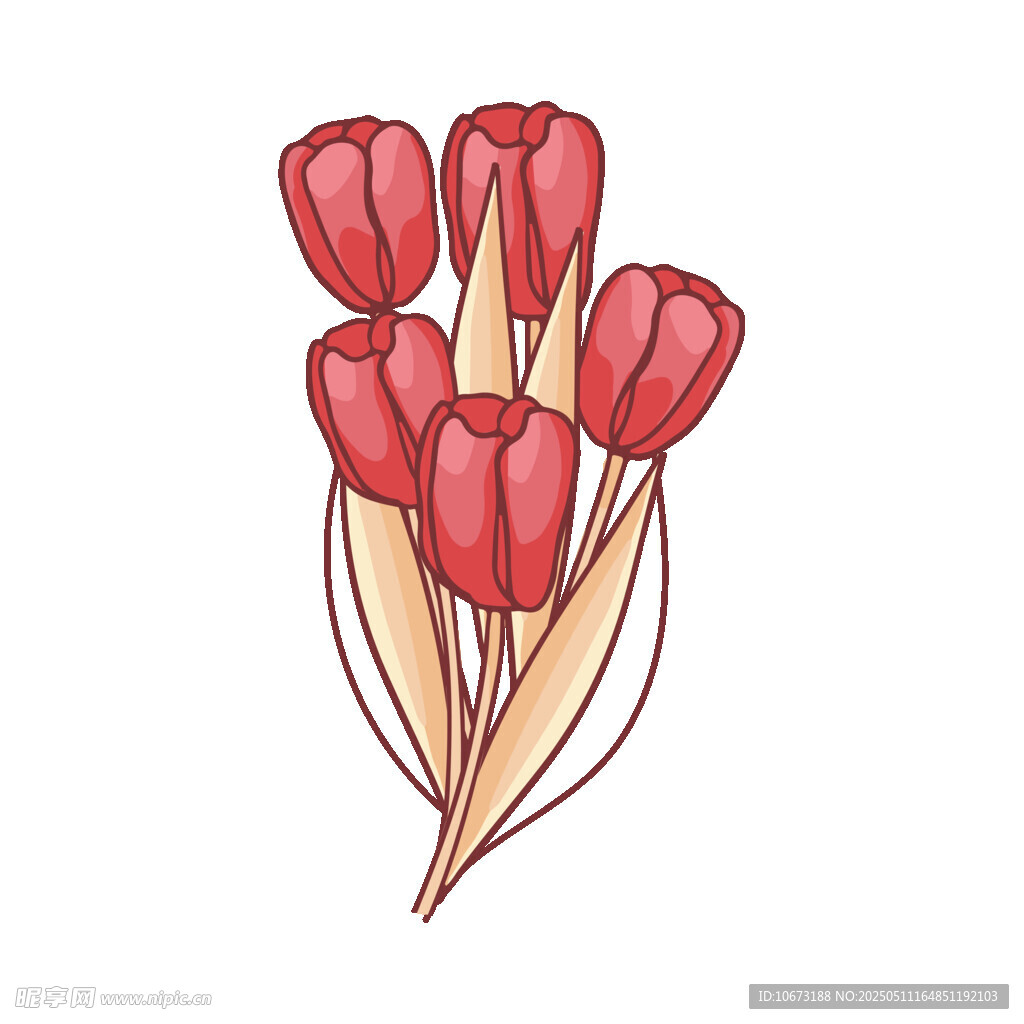 手绘红色郁金香花束
