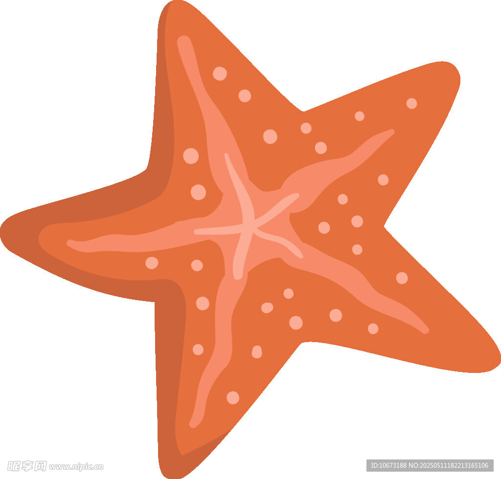 橙色海星插画