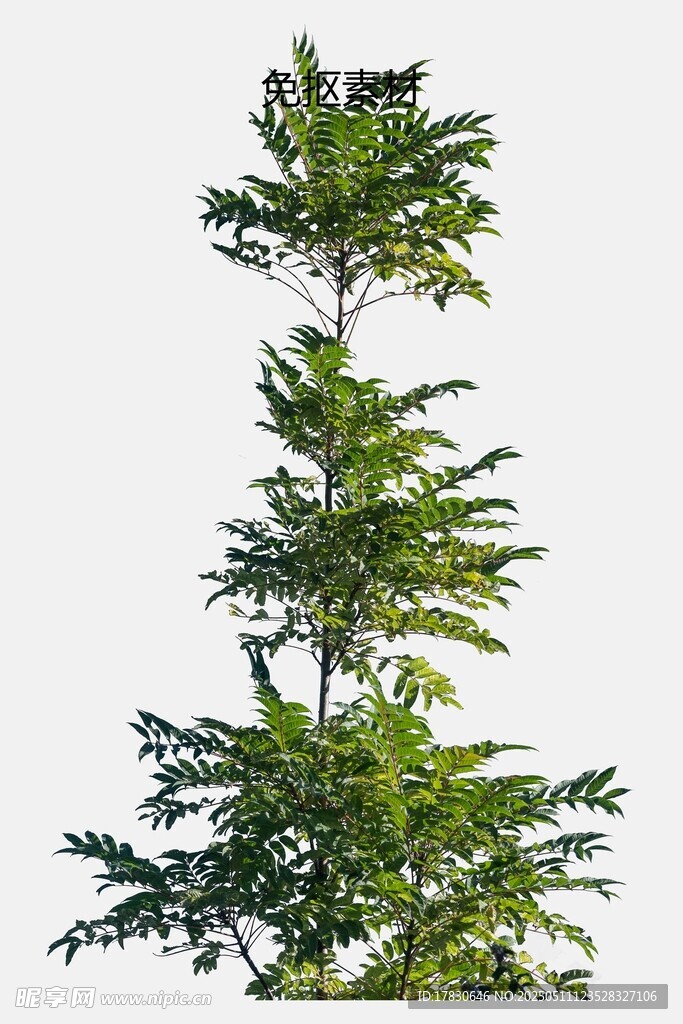 多层绿植造型树