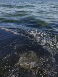 海浪
