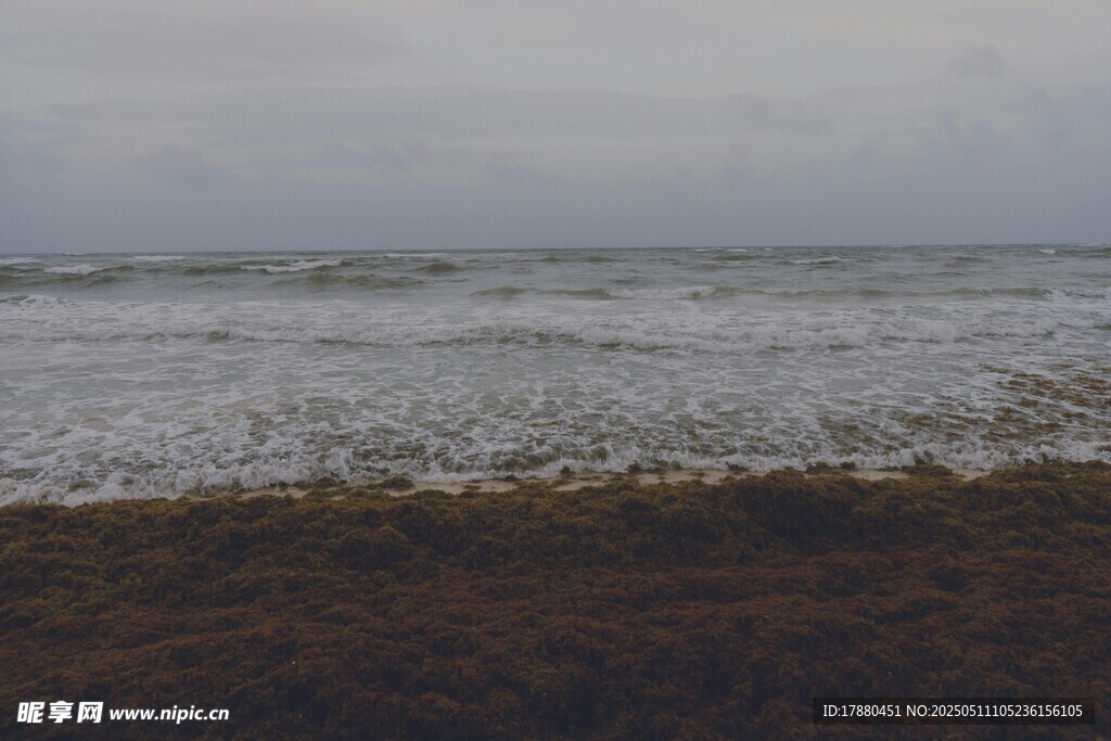 海浪