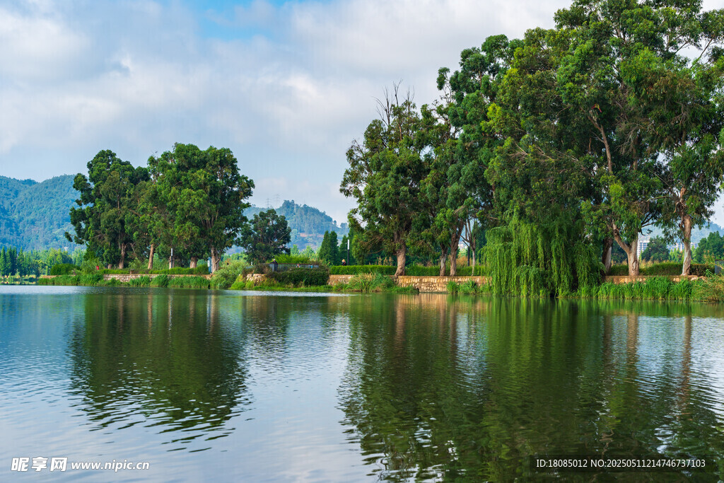 宁静湖畔绿树成荫美景