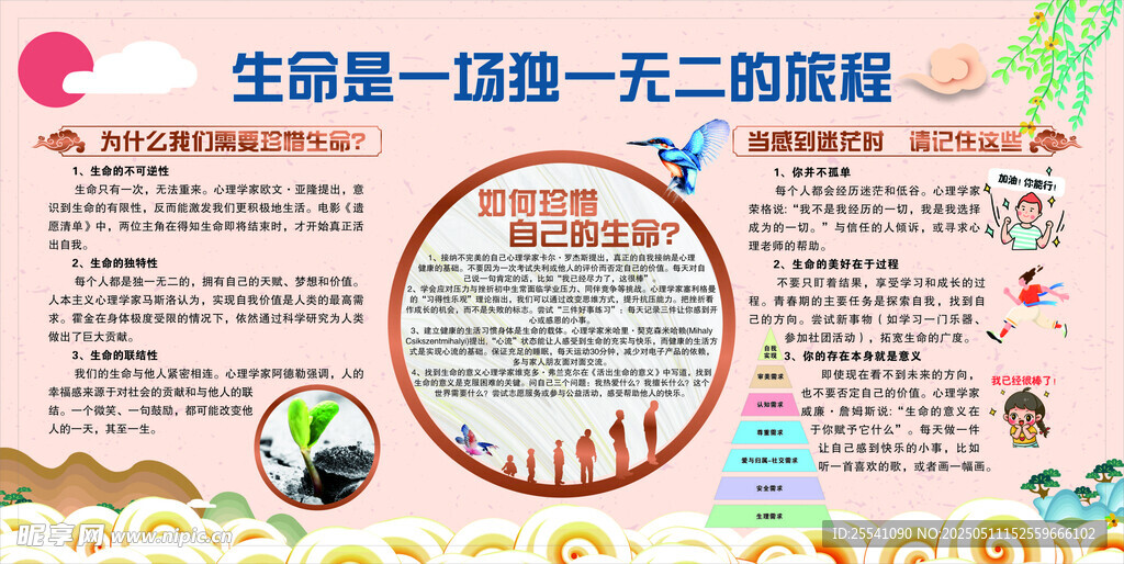 生命是一场独一无二的旅程