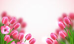 花卉背景展板 