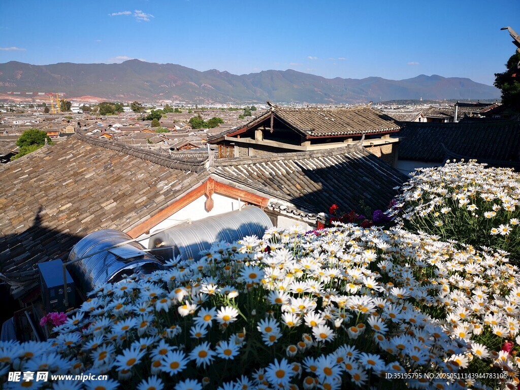 古村落屋顶与烂漫花卉