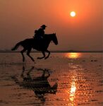 夕阳下策马奔腾的骑手