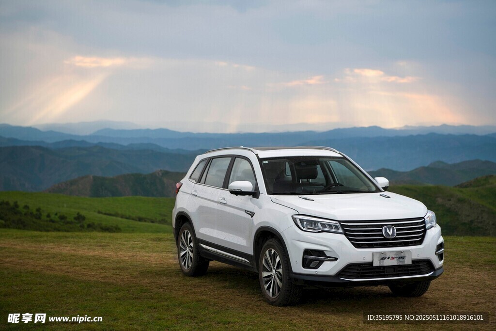 旷野中的白色SUV