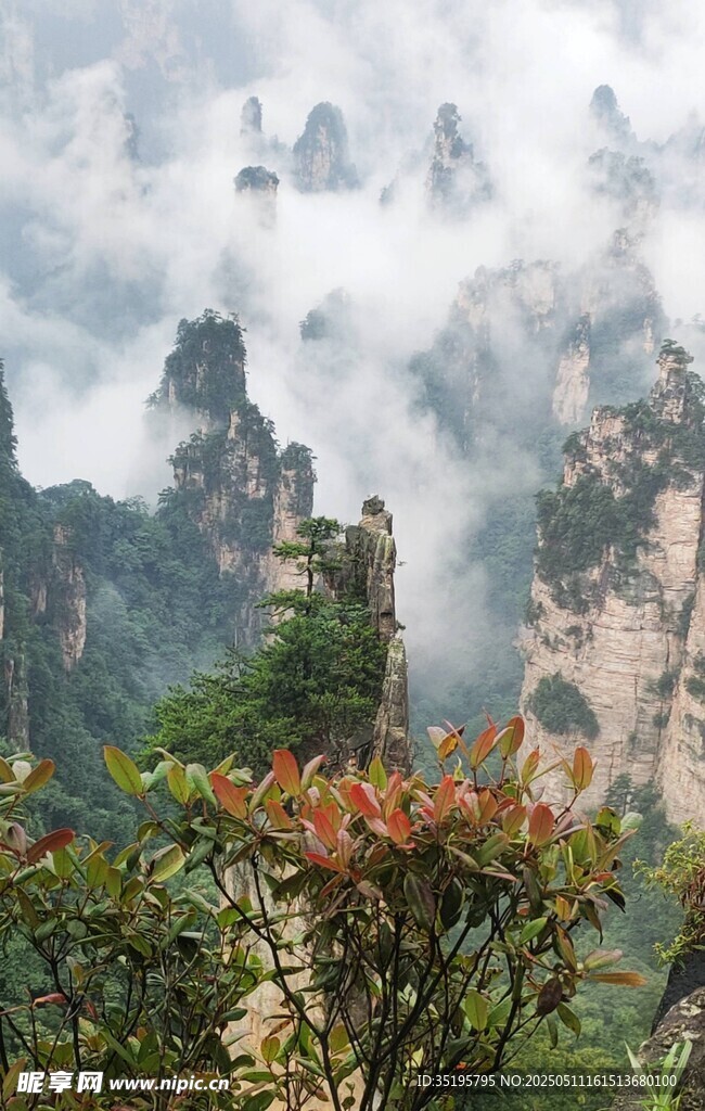 云雾缭绕的壮美奇峰景观