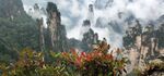 张家界奇峰与烂漫山花