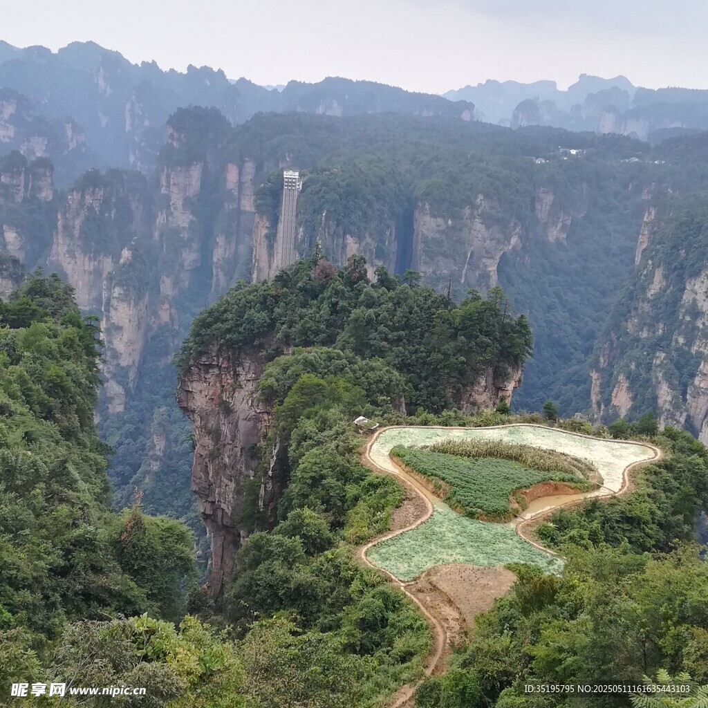 张家界奇峰间的蜿蜒公路