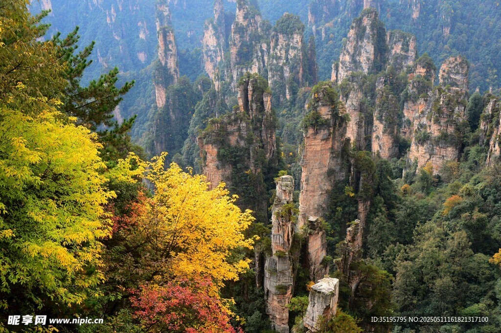 秋日张家界奇峰美景