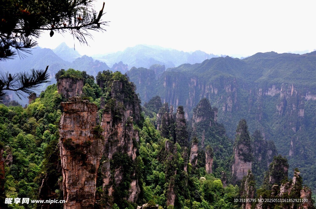张家界奇峰美景