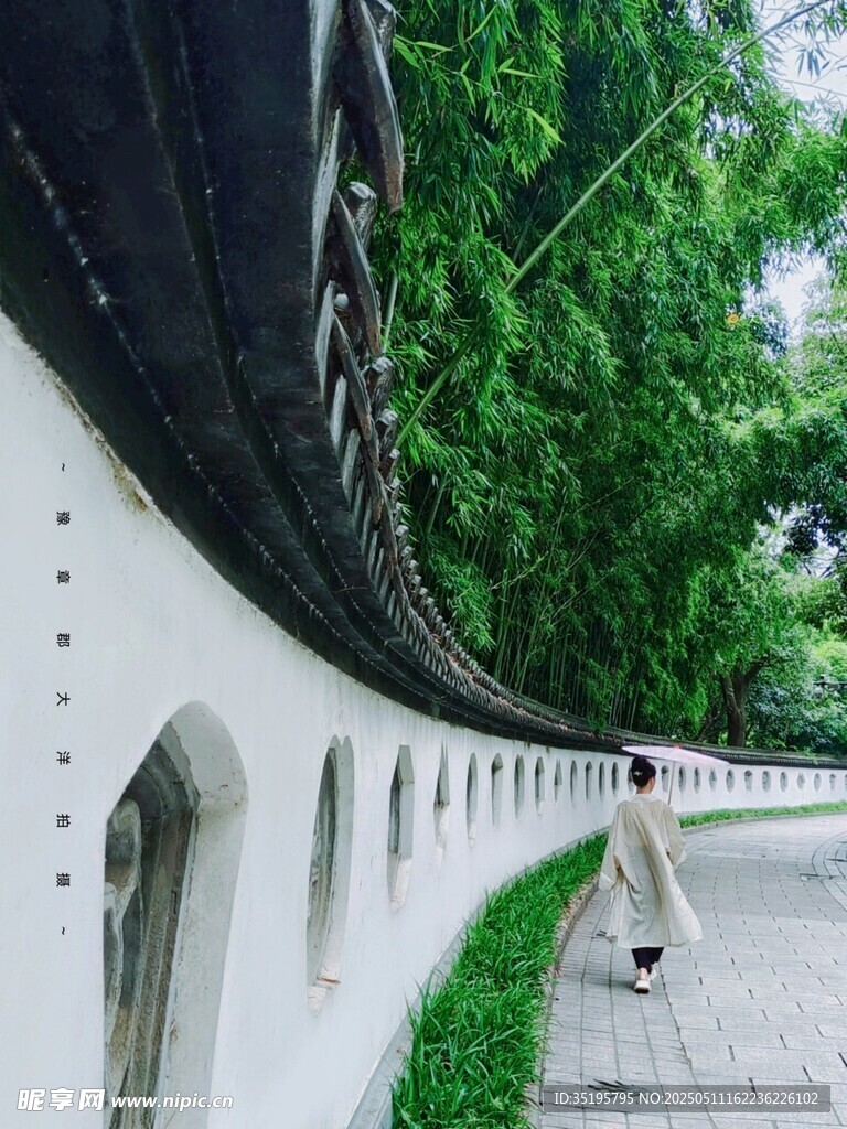 漫步绿荫墙边的悠然时光