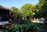 中式庭院美景