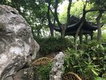 中式园林景致中的古朴建筑