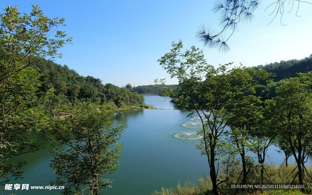 秀丽河畔绿树环绕美景
