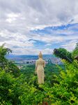 山顶佛像俯瞰翠绿山林