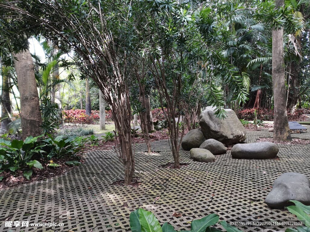 园林景观中的树木与石块