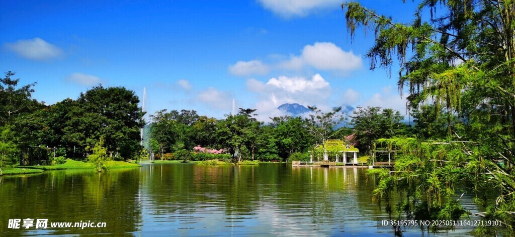 湖畔美景 绿意盎然的自然