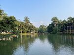 宁静湖畔绿树环绕美景