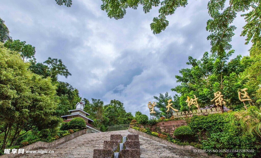 林间小道的自然景致