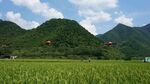绿野青山间的田园风光