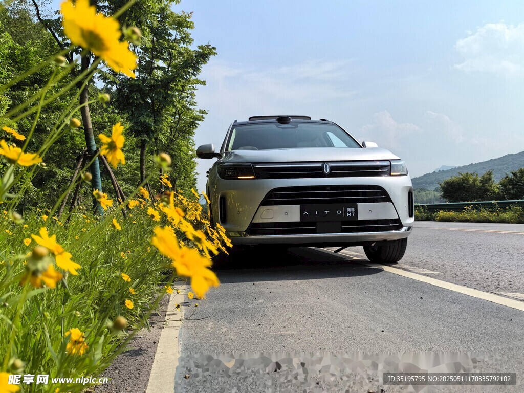 公路旁黄花边的行驶汽车