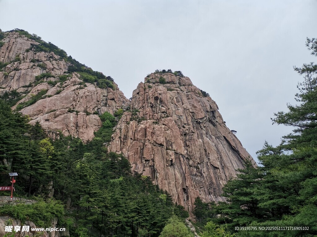 巍峨山峰与葱郁林木