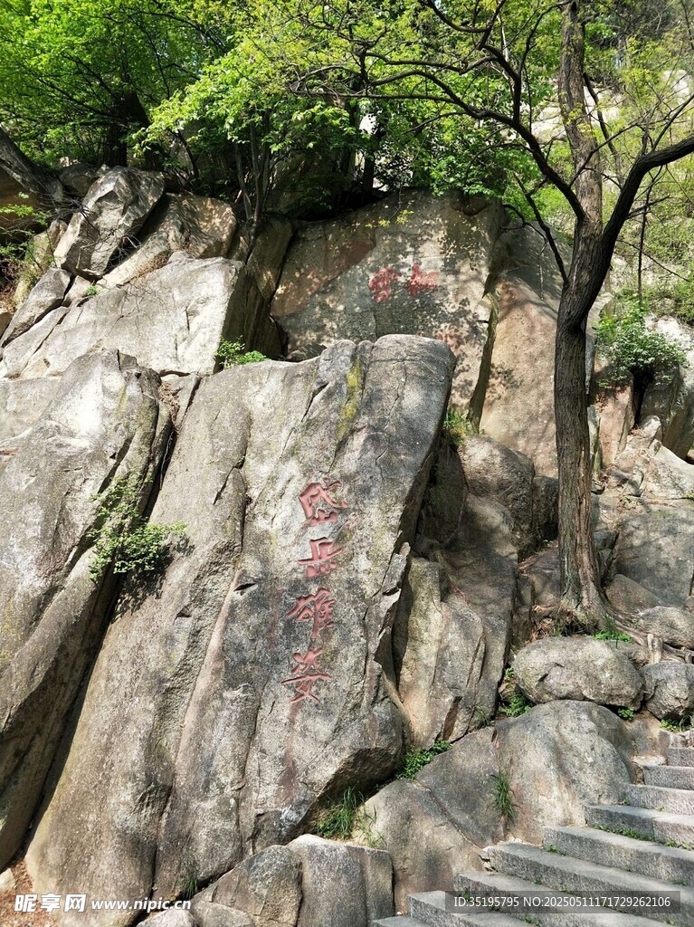山间刻字岩石与绿植景观